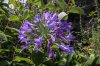 8/15 IMG_0342 site.jpg